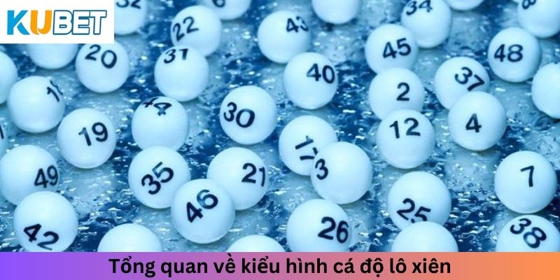 Tổng quan về kiểu hình cá độ lô xiên