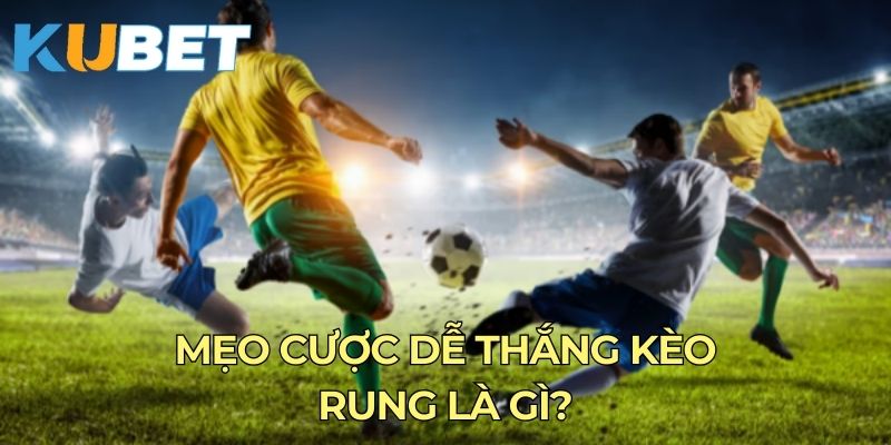 Mẹo cược dễ thắng kèo rung là gì?