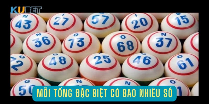 Mỗi tổng đặc biệt có bao nhiêu cặp số